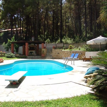 סאני ביץ' Mira Forest Residences מראה חיצוני תמונה